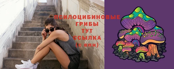 герыч Алексин