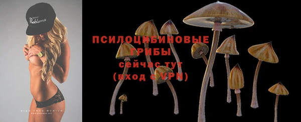 соль курить ск Алексеевка