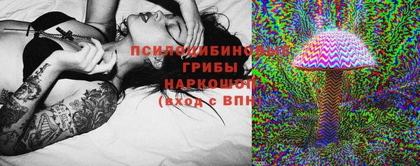 герыч Алексин