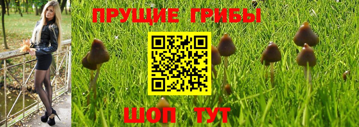 Михайловск  Галлюциногенные грибы мухоморы  Вход с VPN 