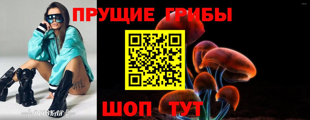 Псилоцибиновые грибы GOLDEN TEACHER Михайловск
